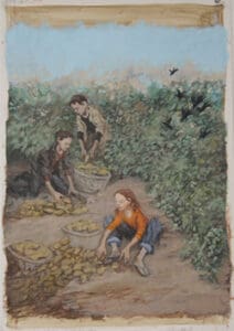 Three girls harvesting potatoes in a field.